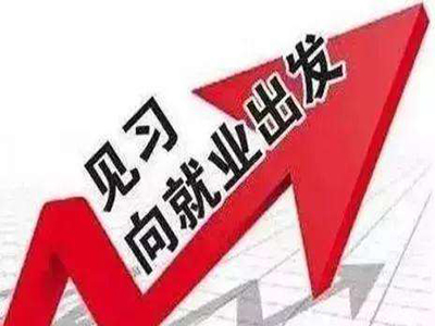 恭喜我司获批省本级就业见习单位